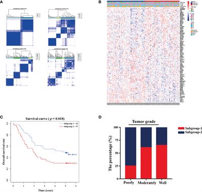 A Multi-Center Validated Subtyping Model of Esophageal Cancer Based on Three Metabolism-Related Genes